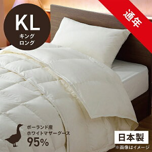 эH[bUMO KOBO 2킹(|+|)HѕzcuтӂƂv PM480-AB2[LOOTCY(230×230cm)/ʔN /|[hYzCg}U[O[X_E95 /{]