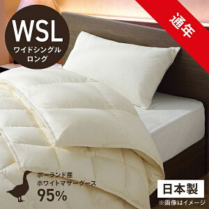 эH[bUMO KOBO 2킹({|+|)HѕzcuтӂƂv PM480-HB2[VOTCY(170×230cm)/ʔN /|[hYzCg}U[O[X_E95 /{]