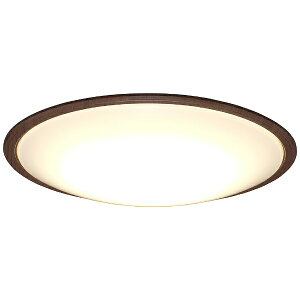 yGg[ōőSz|CgҌb11/27z IRIS OHYAMAbACXI[} LEDV[OCg  Ebht[ EH[ibg CL12DL-5.11WFV-M [12 /F`dF /Rt