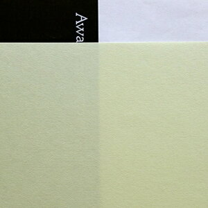 AK~t@Ng[bAwagami Factory kev^lRs[ła  0.16mm [A4 /20]  No.179[NO179]