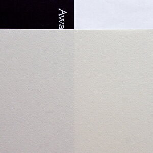 AK~t@Ng[bAwagami Factory kev^lRs[ła  0.16mm [A4 /20] ˂ No.184[NO184]