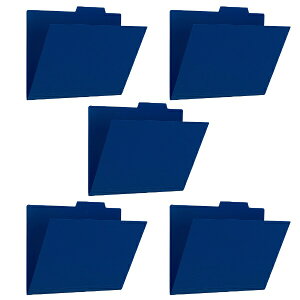 PLUS�b�v���X PP�ʃt�H���_�[+A4ENV5P FL-161IF