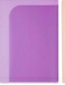 PLUSbvX ʒm\z_[ 6|Pbgp[v FL-200SF