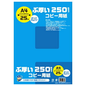KYOKUTObLNgEA\VGCc Rs[p ԌRs[p 250gsm [A4 /25] PPC250A4