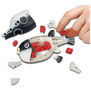 KnEXbMegaHouse IIgtÕpY