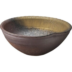 SANEIbTGC  hW1023020