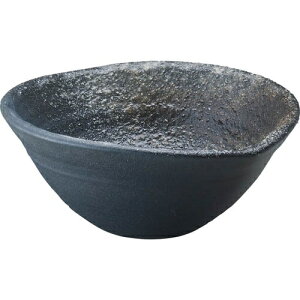 SANEIbTGC  hW1023S006