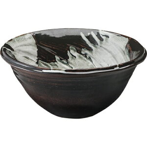 SANEIbTGC  hW1023S011