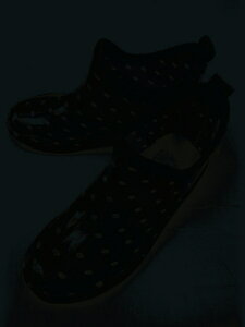 VZCbShinsei VZC wlPVCV[gu[c ʕ Li24`24.5cmj