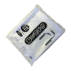 VZCbShinsei VZC PE݂ 10 VZC