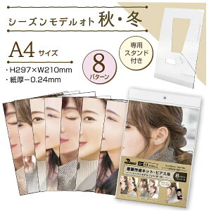 TTKbSASAGAWA nhChANZT[Be쐬LbgisAXjV[YftHgiH~j 37-5004