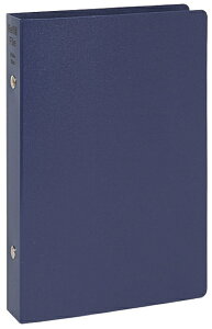 CCbRaymay Fujii tBt@C [TCY/6/O20mm] Keyword(L[[h) lCr[ WBF500K