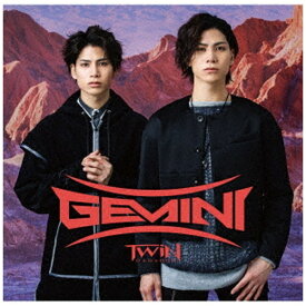 ソニーミュージックマーケティング｜Sony Music Marketing TWiN PARADOX/ Gemini Type-B 通常盤【CD】 【代金引換配送不可】