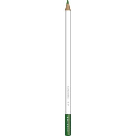トンボ鉛筆｜Tombow IROJITEN(色辞典) 色鉛筆 単色 D17 仙人掌(さぼてん) CI-RD17