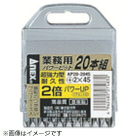 兼古製作所 アネックス　パワービット20本組　両頭　＋2×45 AP20-2045