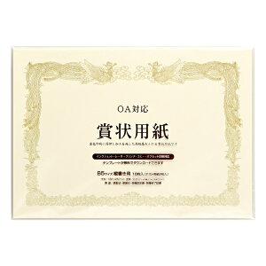 �}���A�C�bMARUAI �k�e��v�����^�l�܏�p�� ���^ 0.2mm [B5 /10��] GP-SHB5Y