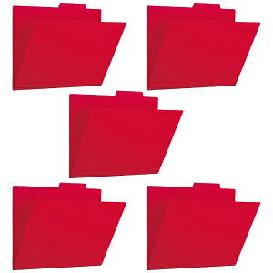 PLUS�b�v���X PP�ʃt�H���_�[+A4E RD 5P FL-161IF