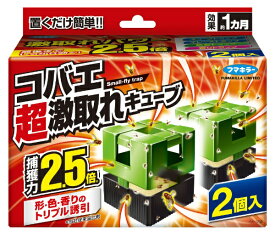 【レビューCP対象商品｜8/1~8/31】コバエ超激取れキューブ　2個入 フマキラー｜FUMAKILLA