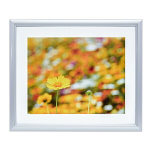 FUJICOLORbtWJ[ A~z A32 6 Vo[