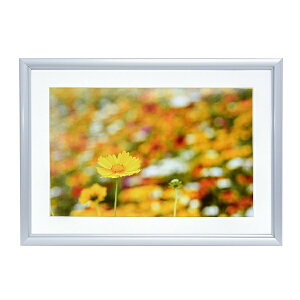 FUJICOLORbtWJ[ A~z A32 Ch6 Vo[