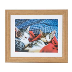 FUJICOLORbtWJ[ ؐz M15 6 ؒn