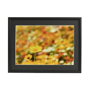 FUJICOLORbtWJ[ A~z A33 Ch6 ubN