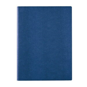 CCbRaymay Fujii NXy[p[ |[gpbh A4 lCr[ c@CgxN^[ ZVP283K