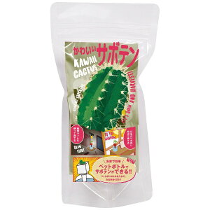 サボテン 種の人気商品 通販 価格比較 価格 Com サボテン 種の人気商品 通販 価格比較 価格 Com