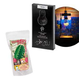 楽天市場 グリーントイ サボテンの通販