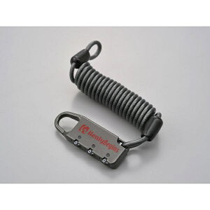 fCgibDAYTONA HenlyBegins _CbN 16835