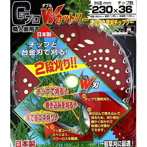 Vh TJ\ECxg Gv WJbg\[ 2i葐`bv\[ TJ\ECxg