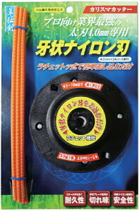 Vh  NEW`FbgJb^[wbh iCn6{t