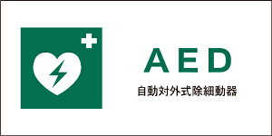 �O���[���N���X�bGreen Cross JIS���S�W�� ���R JWD-04S AED