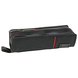 SK11bGXP[11 SK11Xc[P[X@ZRZR-901 ZR-901