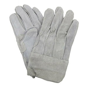 ~^jR[|[VbMITANI ~^j v t[TCY ~^j