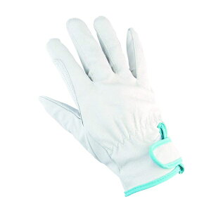 ~^jR[|[VbMITANI ~^j v FITON tBbgI u^W[ Aet #434 ~^j #434