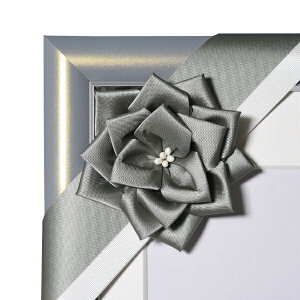 FUJICOLOR�b�t�W�J���[ �ё��z���p���{�� �O���[