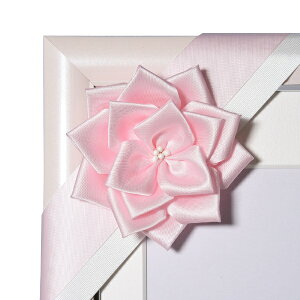 FUJICOLORbtWJ[ ёzp{ sN