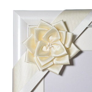 FUJICOLOR�b�t�W�J���[ �ё��z���p���{�� �p�[���z���C�g