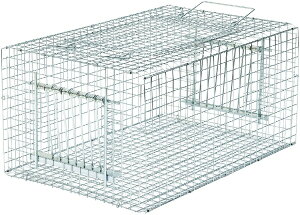 �h�H�ƁbSakae industry �h�q���Y �o�[�h�g���b�v RF1 �h�q���Y E-01