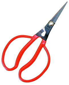 ѐbKobayashi Seikyo zH ԂǂԈ zH K-22