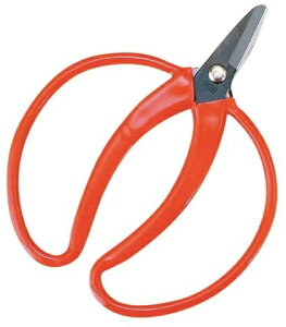 ѐbKobayashi Seikyo zH ݂  zH J-24