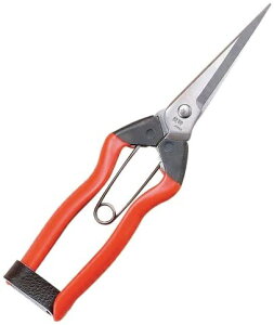 ѐbKobayashi Seikyo zH XeXnE zH J-2