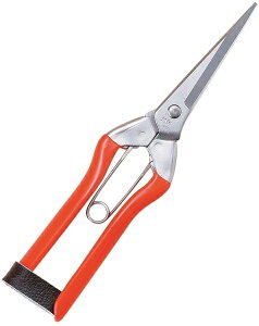 ѐbKobayashi Seikyo zH XeXnE zH S-2