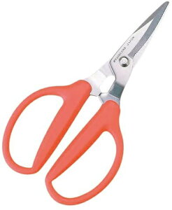 ѐbKobayashi Seikyo zH XeX ĵ zH S-5