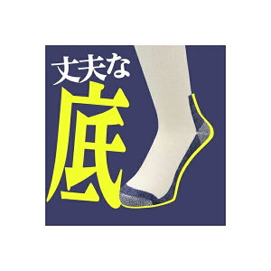 �V���G�C�bShinEi �V���G�C �S��C�� �ܖ{�w 3���g �V���G�C SS-363-3P