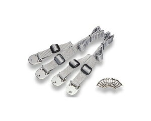 }CXgbMYST ƋŒ xg 6229 00169047-001