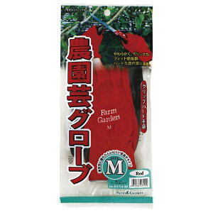 �L���{�V�bKINBOSHI GS #4314-M �_���|�O���[�u�iM�j���b�h