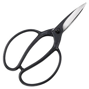 L{VbKINBOSHI GS #3637 V vpA 90mm