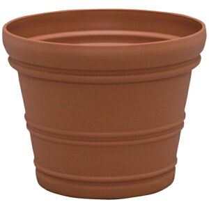 IRIS OHYAMAbACXI[} IRIS@199960@oVA|bg@uE@15 133086